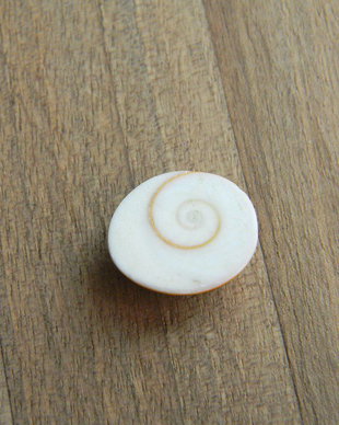 Caboson Shiva Eye (C68)