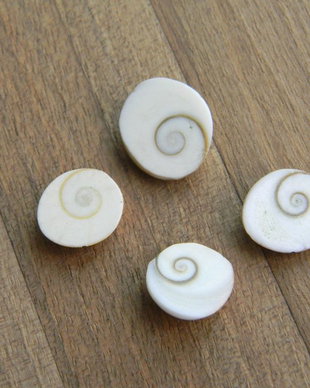 Caboson Shiva Eye  - 4 buc. (C68)