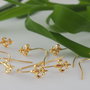 Tortite aurite 18mm (1)