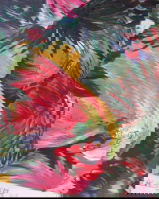 Cupon tesatura-mostra