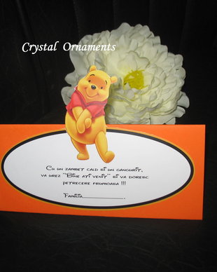 Plic de bani botez Winnie