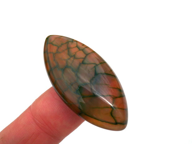 Cabochon agat