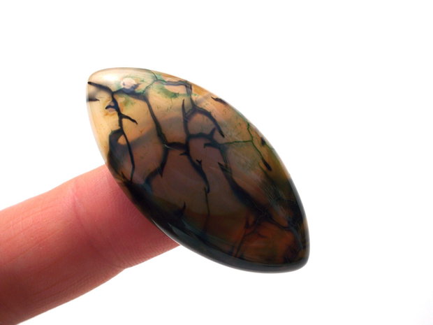 Cabochon agat