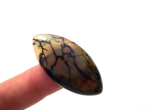 Cabochon agat