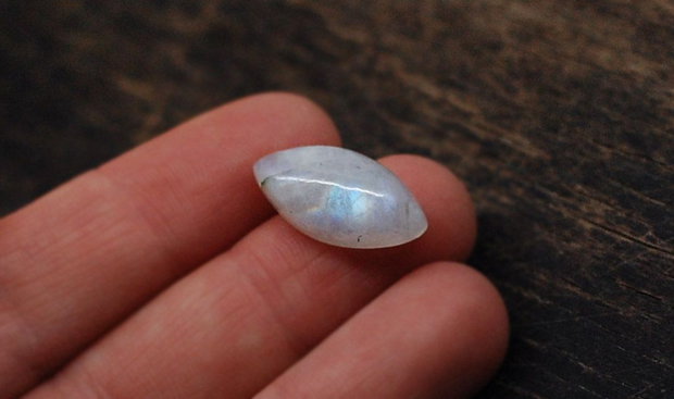 Moonstone marquise flashy - aprox 20 x 10 mm