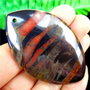9978 - Pandantiv, piatra naturala dungata, amestec pirita, negru, orage, 57x35x6mm