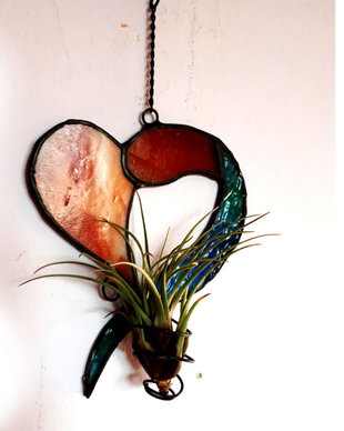Planta aeriana Decoratiune vitraliu cu Tillandsia