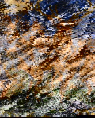 Peretar vintage-plush matase