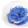 brosa floare albastra ca cicoarea