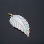 Frunza shell