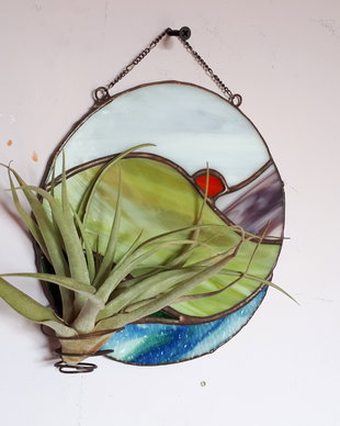 Decoratiune vitraliu cu Tillandsia