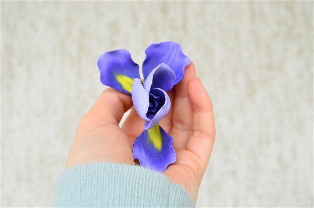 Irisul - brosa mare