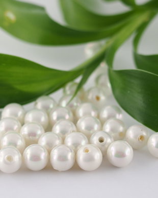 Perle seashell 6mm, semigaurite (1)