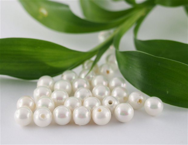 Perle seashell 6mm, semigaurite (1)