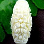 K0012 -  (2buc) Margele butoias, tridacna, floare, 30x17x14mm