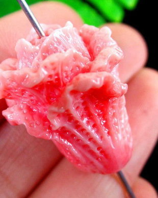 K0057 -  (2buc) Margele, tridacna, floare clopotel, roz flamingo, 25x21mm