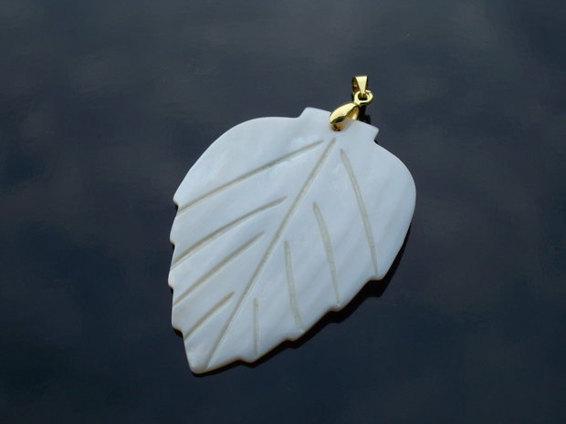 Frunza shell