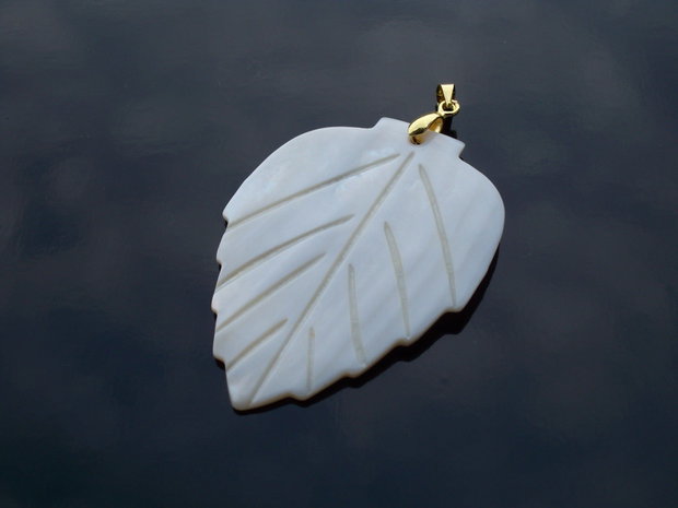 Frunza shell