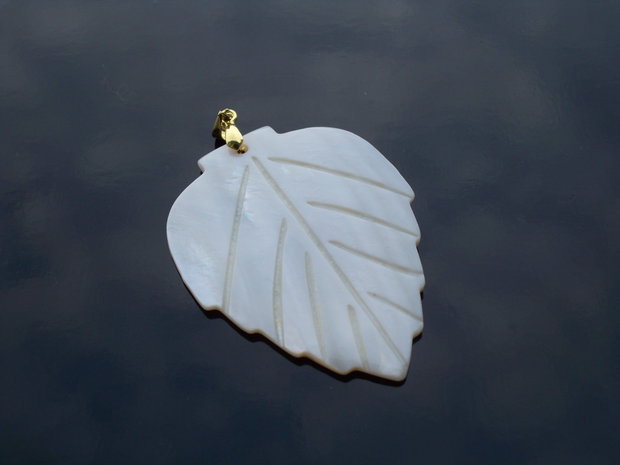 Frunza shell