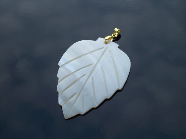 Frunza shell