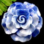 K0018 - Pandantiv, scoica tridacna, adaos de culoare, bleu, 48x48x16mm