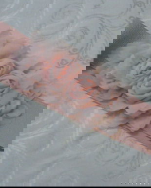 Cordon cu trandafiri