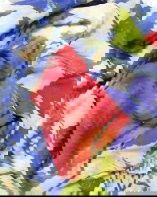 Pareo-esarfa plaja-Passigatti