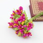 9872 - Buchetel fructe de padure si stamine decorative, efect zahar