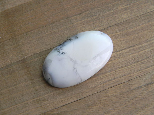 Caboson opal dendritic (C81)