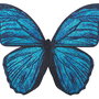 Fluture ornamental brodat