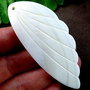 Pandant shell