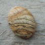 Cabochon jasp, 40x30 mm