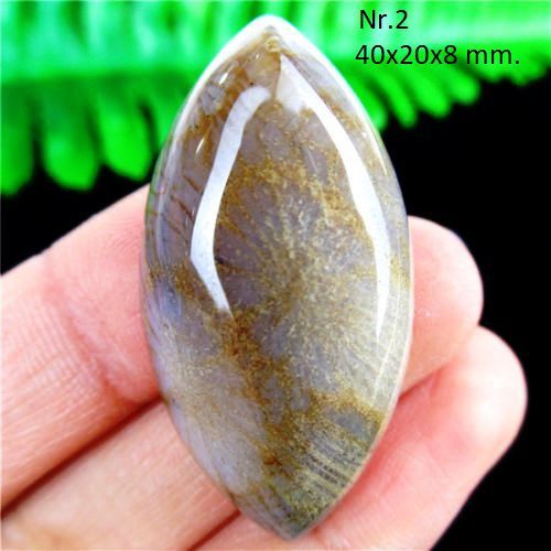Cabochon agat