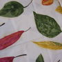 Draperie bumbac
