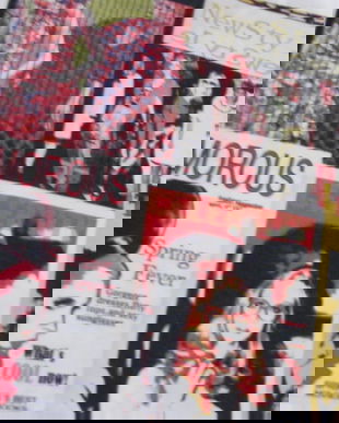 Husa perna decorativa