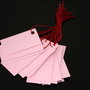 Price tags. Etichete roz cu snur visiniu. Etichete pret