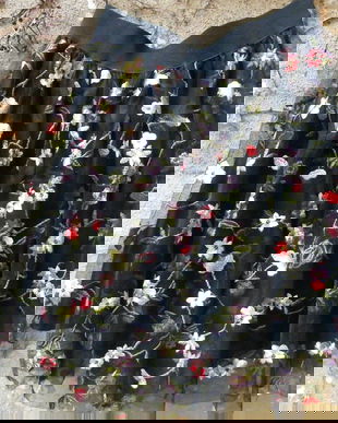 Fusta de tulle brodat