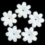 K0042 # (3buc) Sidef alb / scoica / mother of pearl, floare sculptata manual, 19x19x3mm