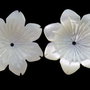 K0062 # (2buc) Sidef alb / scoica / mother of pearl, floare sculptata manual, 20x20x3mm