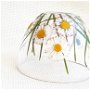 Ceasca de cafea/ceai din sticla decorata cu flori naturale presate