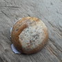 Cabochon picture jasper, 25 mm