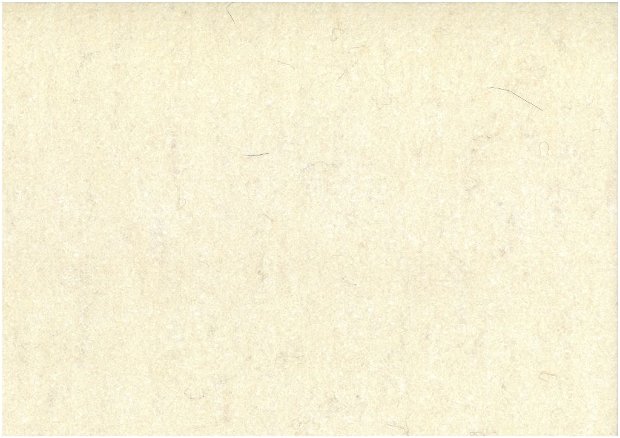 Fetru din lana -50x140cm- natur- 1.1.1.201