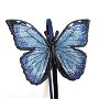 Cordeluta cu  fluture albastru