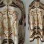 ESARFA MATASE NATURALA BROWN