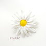 ''Margareta'' - brosa