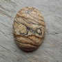Cabochon picture jasper, 40x30 mm