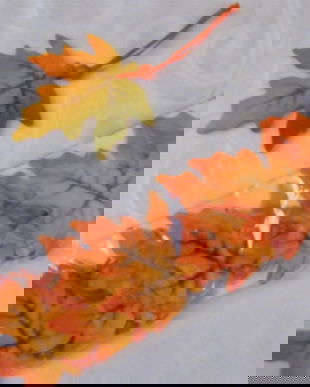 Set 6 frunze decorative pasla-oranj