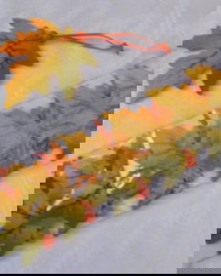 Set 6 frunze decorative pasla