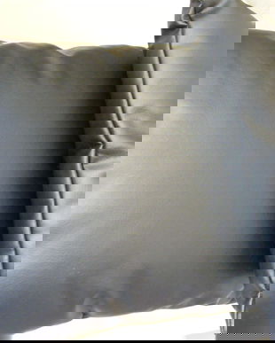 Set 2 perne imitatie piele-NOI