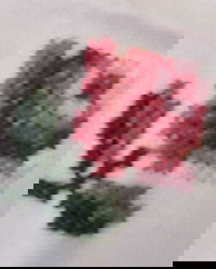 Fata de masa cu trandafiri-broderie